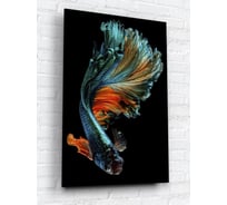 Картина на стекле ARTABOSKO Бойцовскаярыбка 1 40x60 WBR-02-63-04