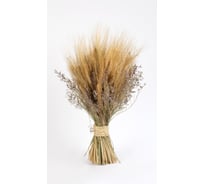 Коробка 6 букетов Стильный Дом Овес-камыш h 60 см 65119
