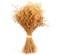 Коробка 6 букетов Стильный Дом букет из льна и овса h 50 см 65121