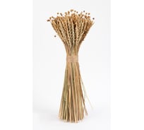Коробка 6 букетов Стильный Дом букет спельты и льна, h 500 мм 65112