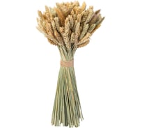 Коробка 6 букетов Стильный Дом из сухих колосовых культур пшеница,чумиза h480 40873