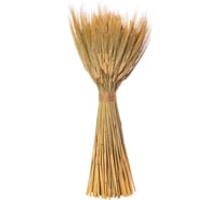 Коробка 6 букетов Стильный Дом из сухих колосовых культур рожь, пшеница, ячмень h 36 см 28666