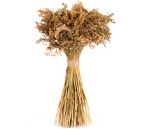 Коробка 15 букетов Стильный Дом Сорго вейничное h 60 см 65128