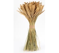 Коробка Стильный Дом из 6 букетов из льна и ржи 50 см 65120