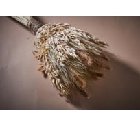 Коробка 6 букетов Стильный Дом из колосовых культур пшеница, чумиза, овёс, бессмерт h 51см 49910