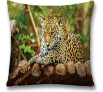 Декоративная наволочка JoyArty sl_37573