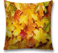 Декоративная наволочка JoyArty sl_37693