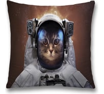 Декоративная наволочка JoyArty sl_33497