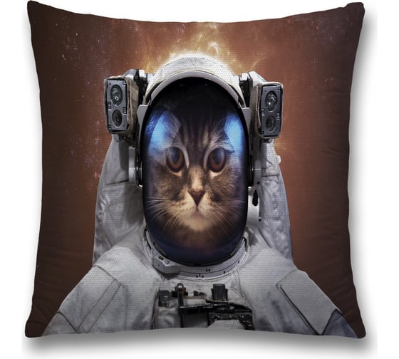 Декоративная наволочка JoyArty sl_33497