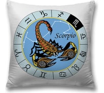 Декоративная наволочка JoyArty sl_60298