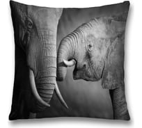 Декоративная наволочка JoyArty sl_21072