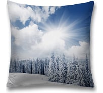 Декоративная наволочка JoyArty sl_18886