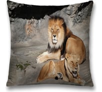 Декоративная наволочка JoyArty sl_37580