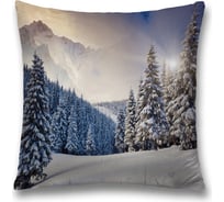 Декоративная наволочка JoyArty sl_18885