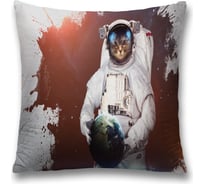 Декоративная наволочка JoyArty sl_19919