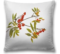 Декоративная наволочка JoyArty sl_38408