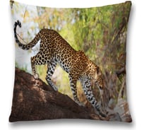 Декоративная наволочка JoyArty sl_37582