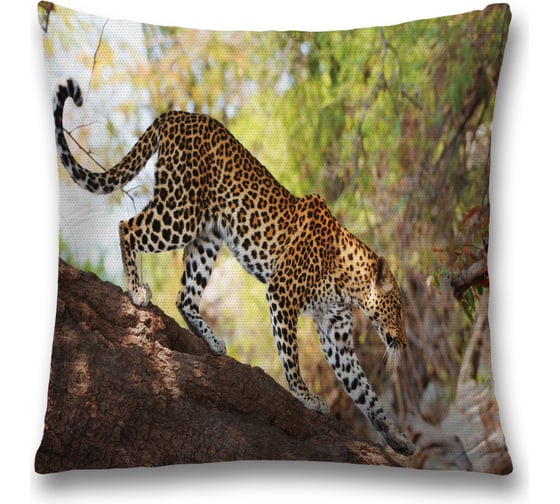 Декоративная наволочка JoyArty sl_37582 1