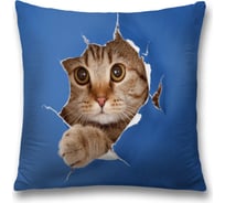 Декоративная наволочка JoyArty sl_36636