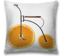 Декоративная наволочка JoyArty sl_5217