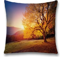 Декоративная наволочка JoyArty sl_19298