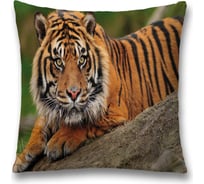 Декоративная наволочка JoyArty sl_38689