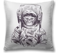 Декоративная наволочка JoyArty sl_19933