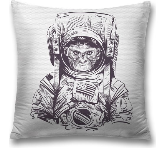 Декоративная наволочка JoyArty sl_19933 1