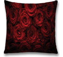 Декоративная наволочка JoyArty sl_55699