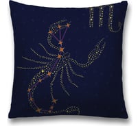 Декоративная наволочка JoyArty sl_60294