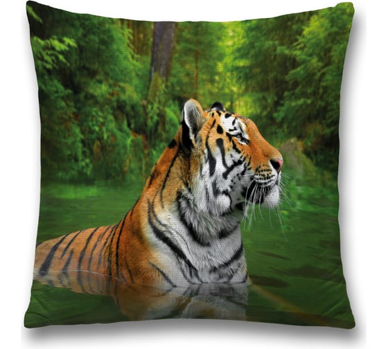 Декоративная наволочка JoyArty sl_38650 1