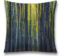 Декоративная наволочка JoyArty sl_18853