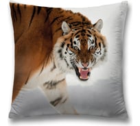 Декоративная наволочка JoyArty sl_38688