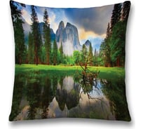 Декоративная наволочка JoyArty sl_19000