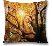 Декоративная наволочка JoyArty sl_20676