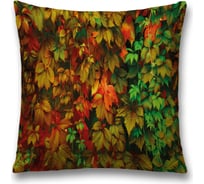 Декоративная наволочка JoyArty sl_37674