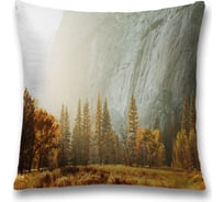 Декоративная наволочка JoyArty sl_19007