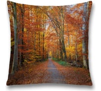 Декоративная наволочка JoyArty sl_37679