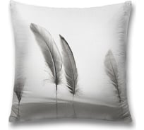 Декоративная наволочка JoyArty sl_20853