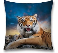 Декоративная наволочка JoyArty sl_38679