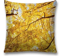 Декоративная наволочка JoyArty sl_20667