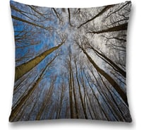 Декоративная наволочка JoyArty sl_20654