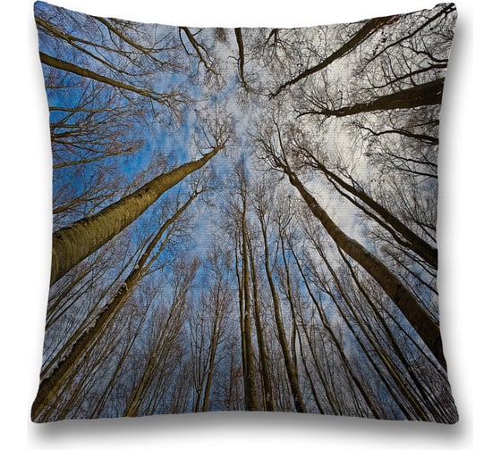 Декоративная наволочка JoyArty sl_20654