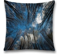 Декоративная наволочка JoyArty sl_20678