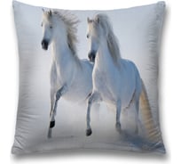 Декоративная наволочка JoyArty sl_20088