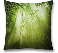 Декоративная наволочка JoyArty sl_18971