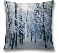 Декоративная наволочка JoyArty sl_5751