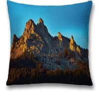 Декоративная наволочка JoyArty sl_20419