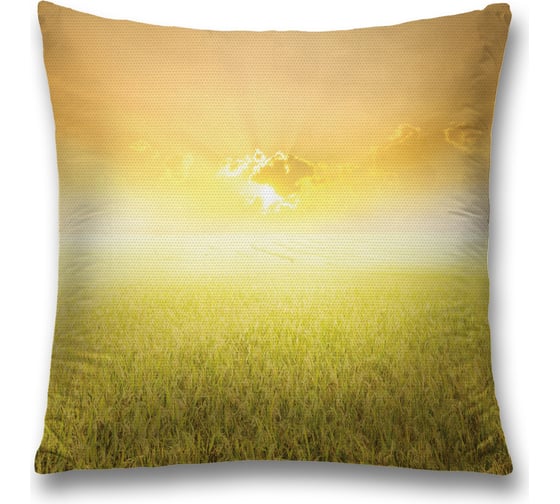 Декоративная наволочка JoyArty sl_17410