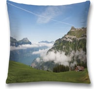 Декоративная наволочка JoyArty sl_32842